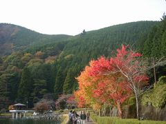 田貫湖で紅葉２.jpg