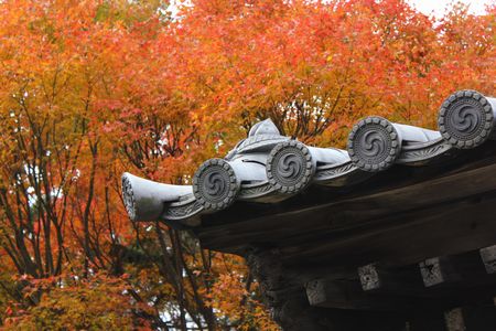 東福寺５－１－２.jpg