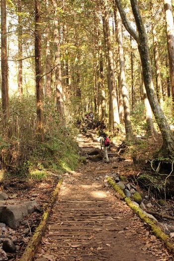 登山ハイキングはじまり＾＾.jpg