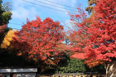 東福寺１－１－４.jpg