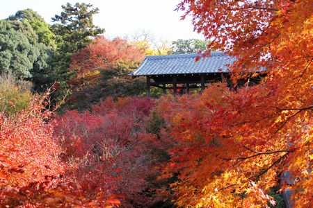 東福寺３－１－２.jpg