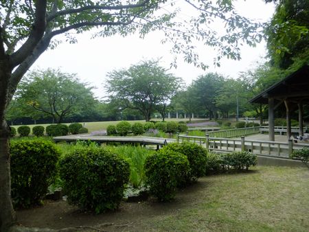 自然公園１.jpg