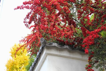 東福寺５－１－５.jpg