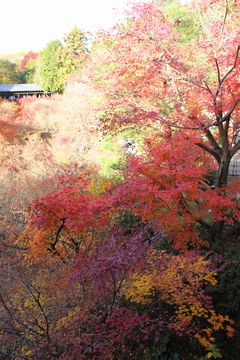 東福寺３－１－４.jpg