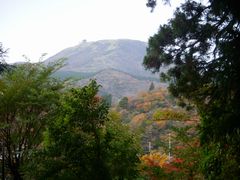 カラフルな紅葉と駒ヶ岳.jpg