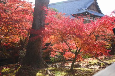 東福寺３－１－５.jpg