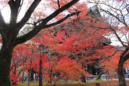 南禅寺５－７.jpg