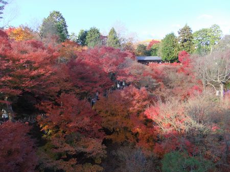 東福寺３－２－３.jpg