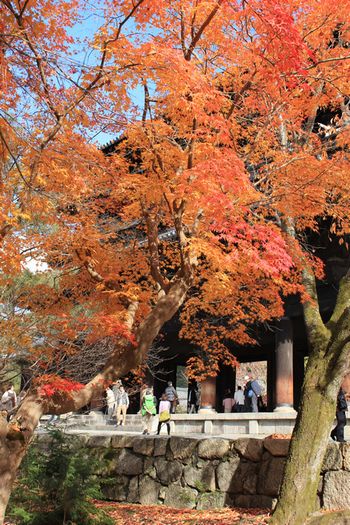 南禅寺５－９.jpg