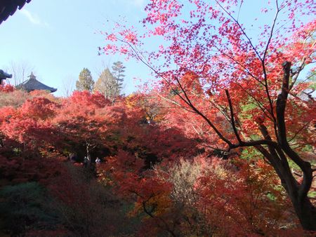 東福寺３－２－４.jpg