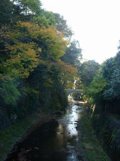 鎌倉・川撮り.jpg