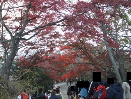 山頂紅葉２.jpg