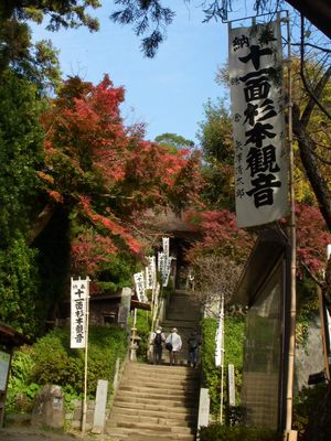 杉本寺撮り♪.jpg