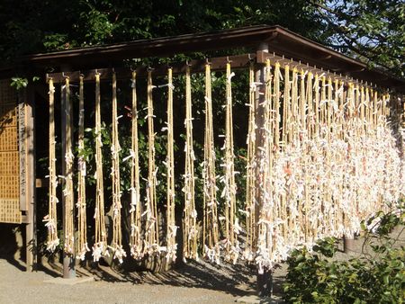 寒川神社５.jpg