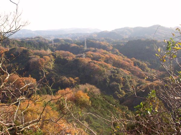 天園からの風景♪.jpg