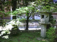 龍安寺（庭の風景１）.jpg