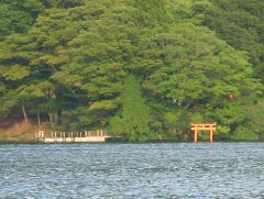 もう箱根神社？違ってた・笑.jpg