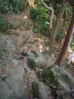 山道２.jpg