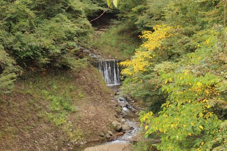 川のある風景.jpg