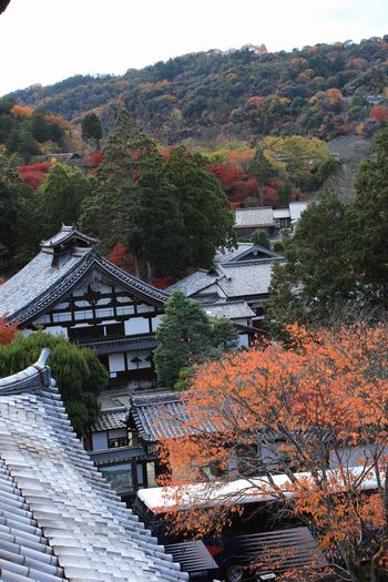 南禅寺２－２.jpg