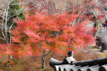 南禅寺２－３.jpg