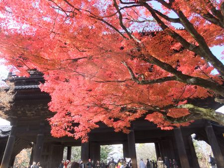 南禅寺２－７.jpg