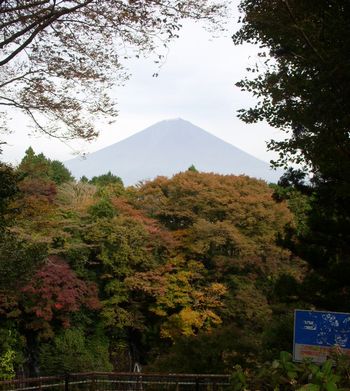 紅葉と富士山.jpg