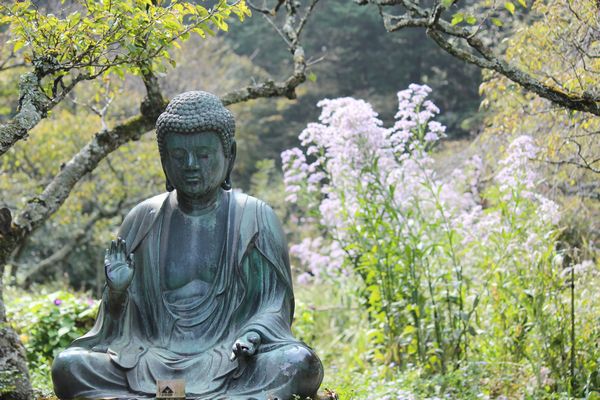 東慶寺風景１.jpg