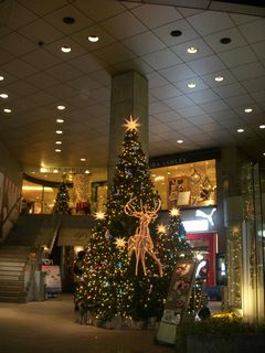 表参道クリスマス４.jpg