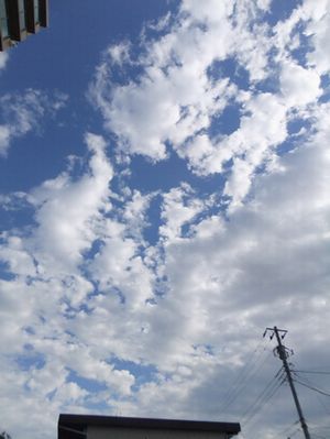 青空が出てきた.jpg