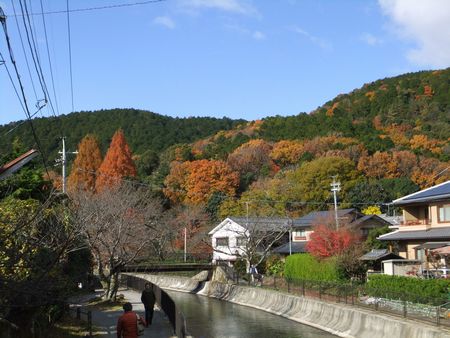 山が綺麗ー２－５.jpg