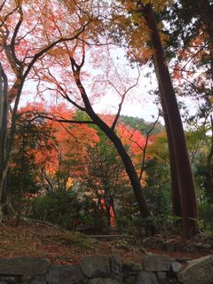 目的地に近づいてきました。－２－６.jpg