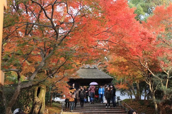 安楽寺３.jpg