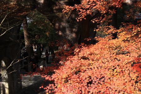 南禅寺水道橋３－５.jpg