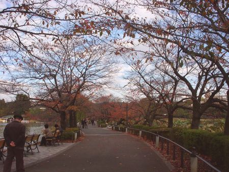 不忍の池歩道.jpg