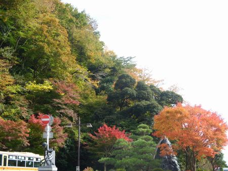 バスの終点駅～紅葉♪.jpg