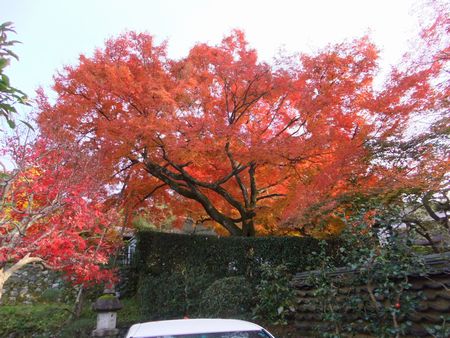 安楽寺４.jpg