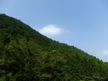 山から降りて今日の空.jpg