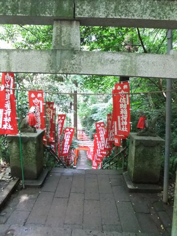 上からくだり階段.jpg
