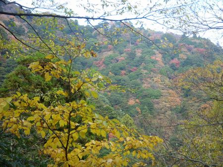 隣の山ももみじも見える♪.jpg