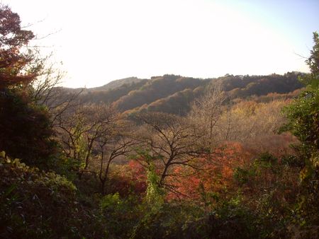 カラフルな場所が近づいてきた.jpg