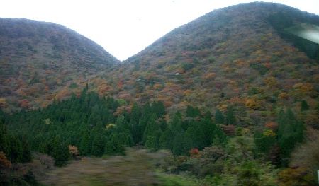 お玉が池山.jpg