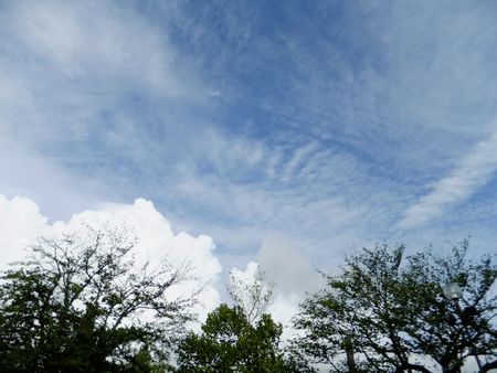 この日の青空.jpg