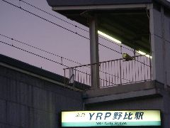 京急YRP野比駅.jpg