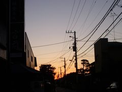 鎌倉宮で夕景♪.jpg