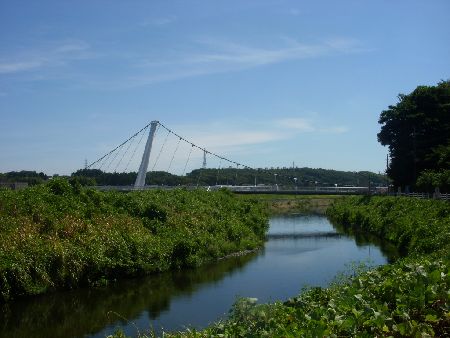 川沿い風景.jpg