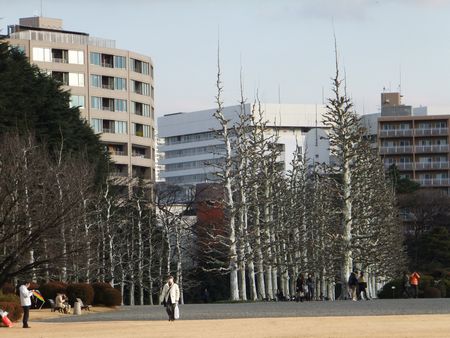 新宿御苑２－３.jpg