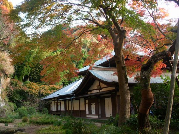 秋の瑞泉寺.jpg