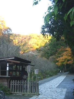 瑞泉寺参道.jpg