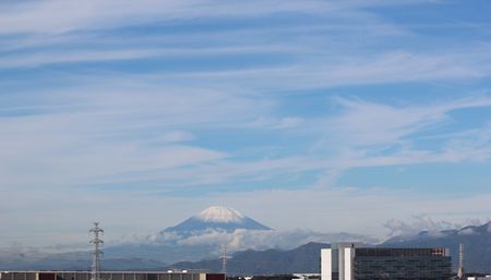 富士山ｲﾁｶﾒ１.jpg